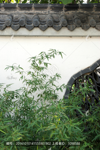 黛瓦白墻綠竹