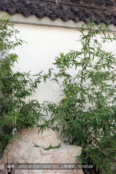 白墻黛瓦綠竹