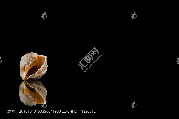殼