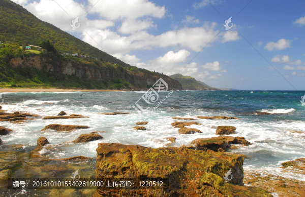 巖和Ocean