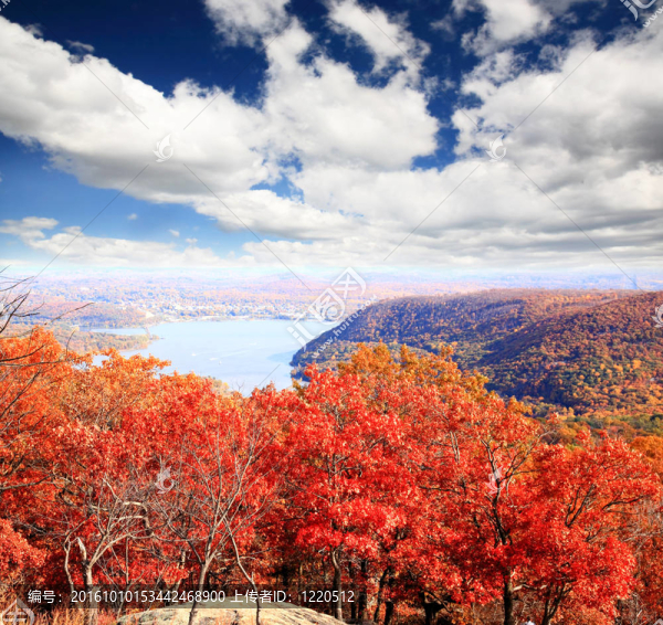 熊山頂上的樹葉風(fēng)景