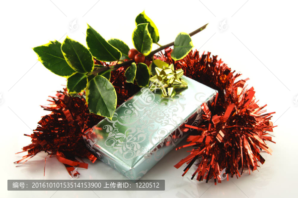 Holly和Tinsel的禮物