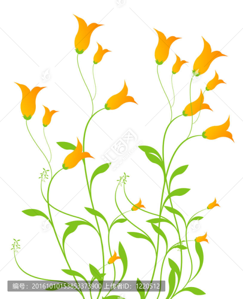 橙花