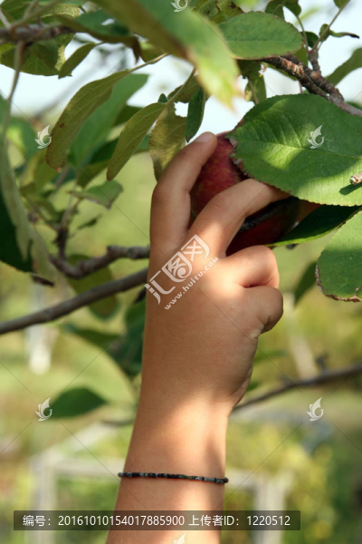小孩伸手拿起蘋果