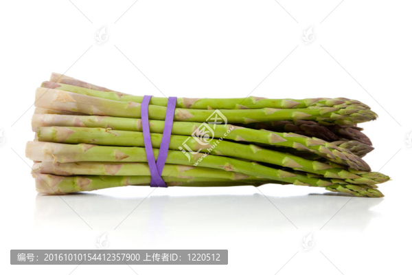 在白色的一束aparagus