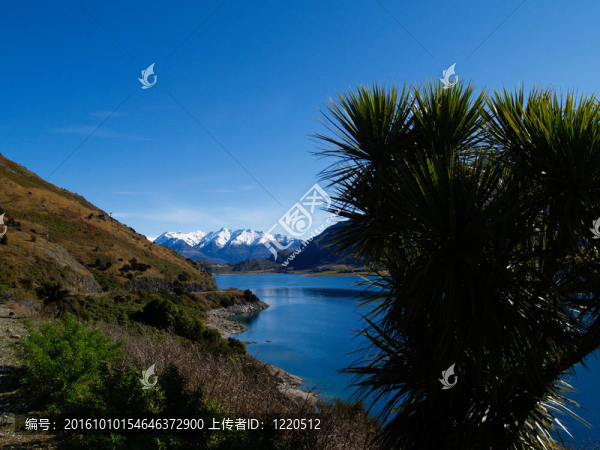 哈威湖湖風(fēng)景。