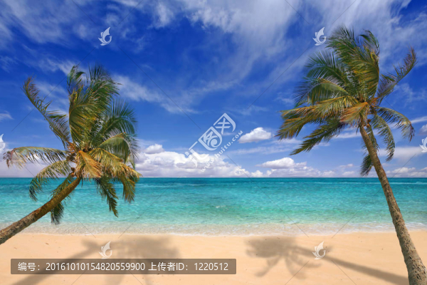 熱帶海灘