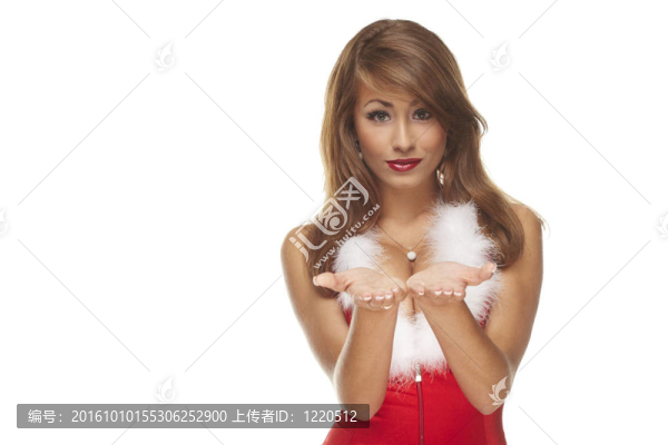 性感圣誕老人助手
