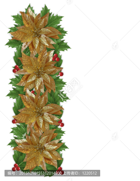 圣誕節(jié)一品紅冬青黃金邊界