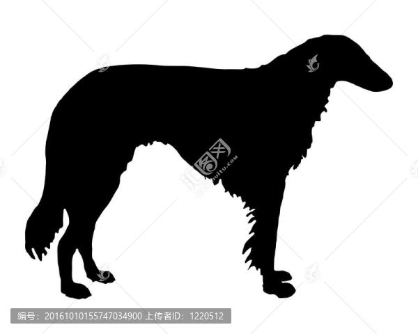一個(gè)長(zhǎng)發(fā)披肩的視覺(jué)獵犬，黑色的剪影