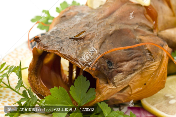 臃腫的鯰魚頭檸檬和歐芹特寫