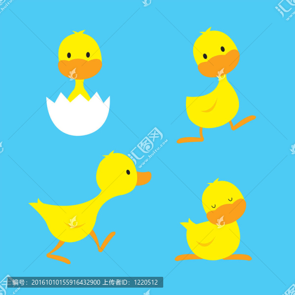 小鴨