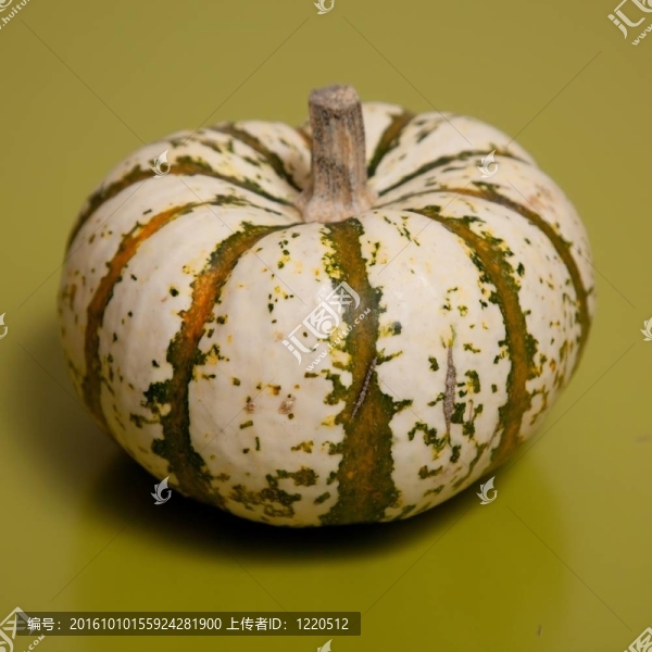 南瓜提拉米蘇