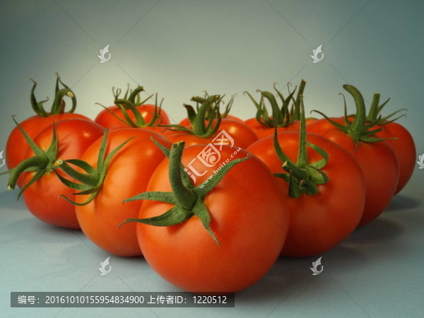 組的西紅柿