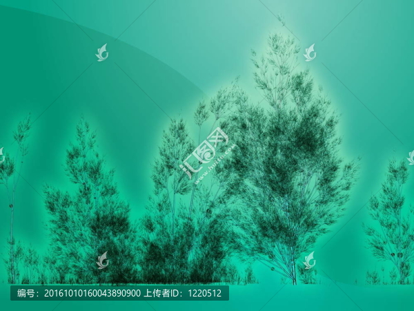 白樺樹的插圖
