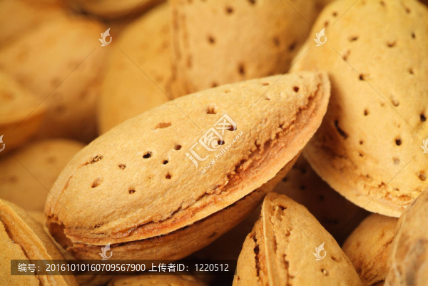 杏仁封閉隔離