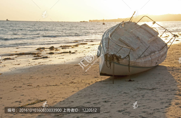 遺棄在海灘上