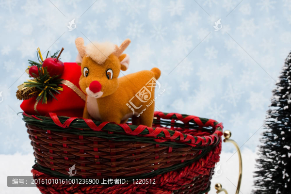 冬天的時候