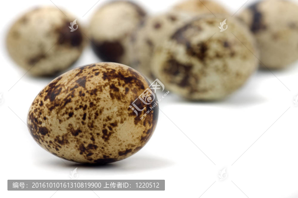 鵪鶉蛋