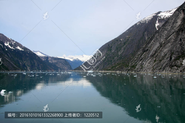 冰川灣；阿拉斯加；美國