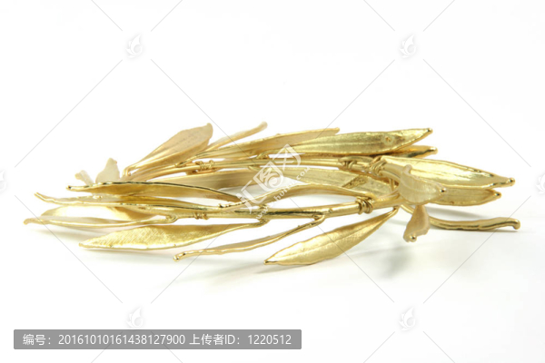 橄欖樹的花環(huán)
