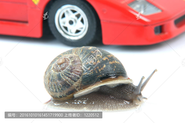 蝸牛和汽車