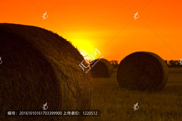 草捆天結(jié)束