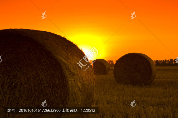 草捆天結(jié)束