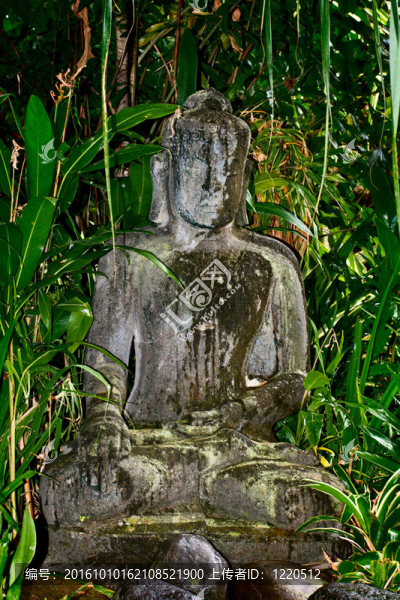 叢林中的古代如來佛祖雕像