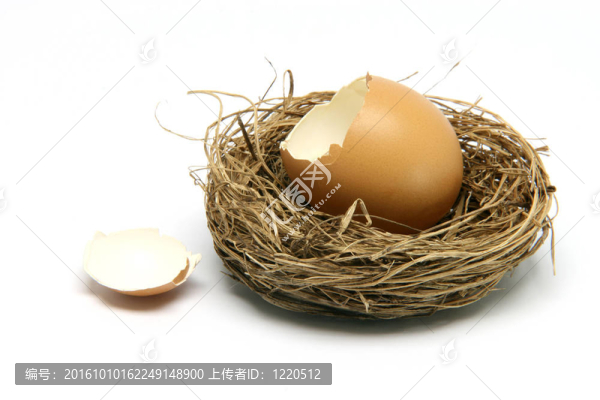 巢中的碎蛋