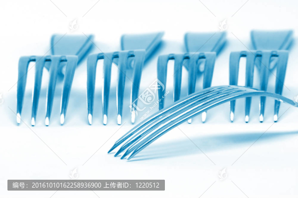 詳細(xì)的叉子