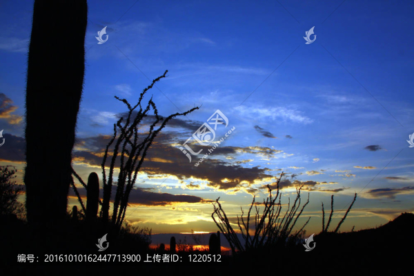 藍(lán)色的沙漠