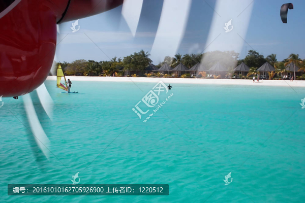 生活在熱帶地區(qū)