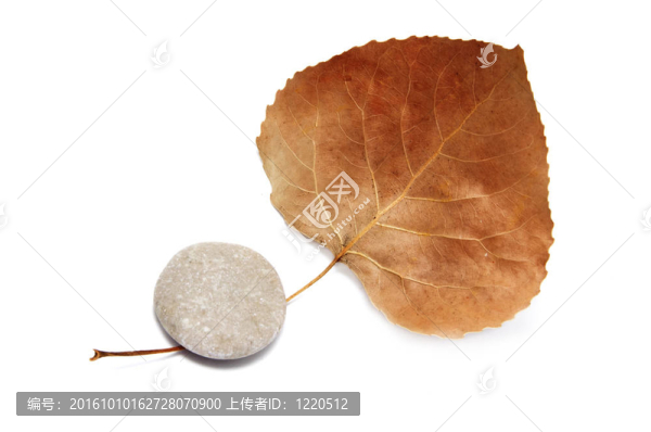 離開石
