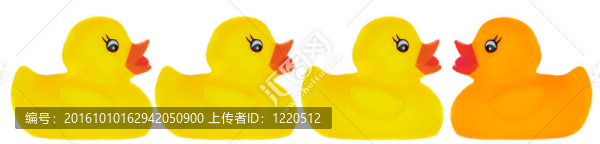 塑料鴨子