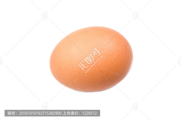 一只棕色母雞的照片