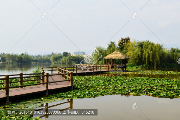 西昌濕地公園