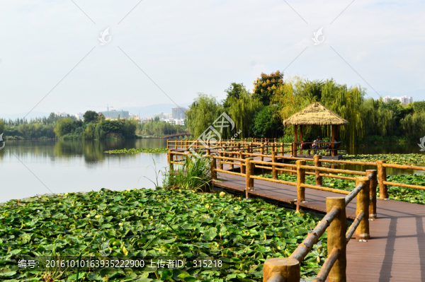 西昌濕地公園