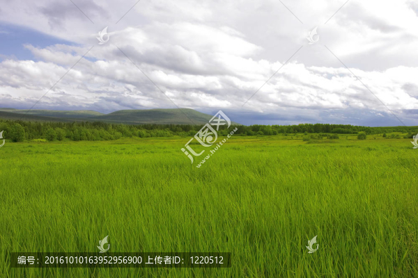 綠色避暑山莊