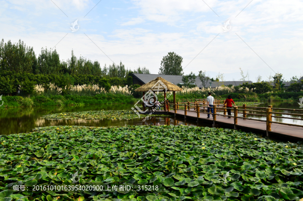 西昌濕地公園