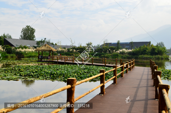 西昌濕地公園