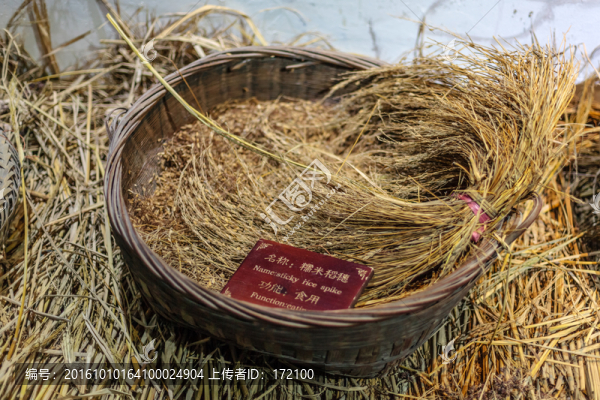 西江苗族博物館
