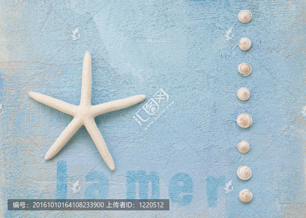 海星