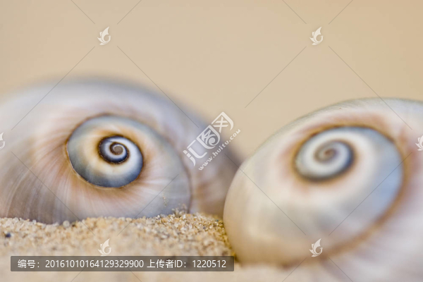 浪灘發(fā)現(xiàn)在沙灘上的杰爾巴島島（突尼斯；北非）