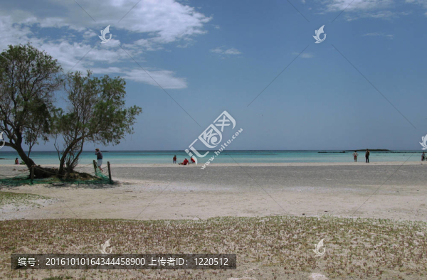 在海灘上