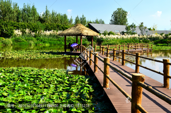 西昌濕地公園