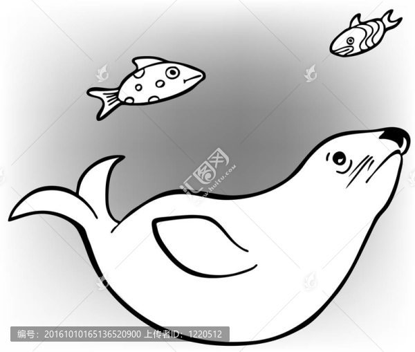 海豹和魚(yú)