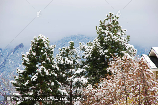 在即將到來的暴風雪的薄霧面前