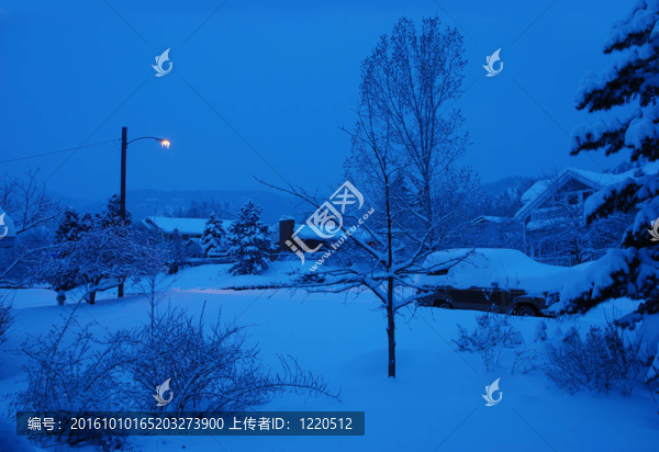 雪的黎明