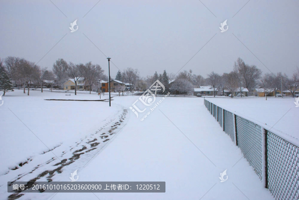 在暴風(fēng)雪中穿過一個(gè)公園的小路